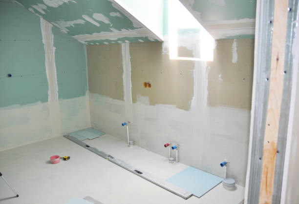 Best Industrial Mold Remediation  in Frankfort, IL