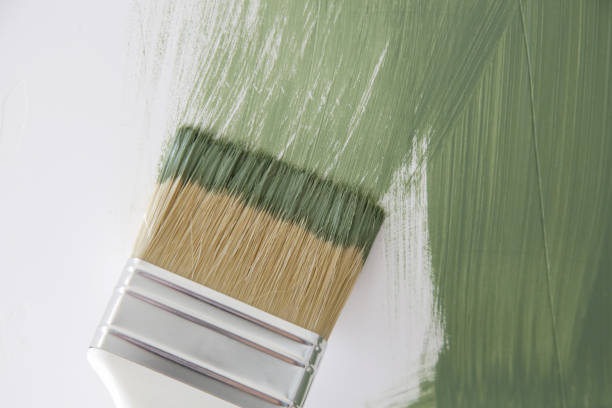 Professional Mold Removal in Frankfort, IL