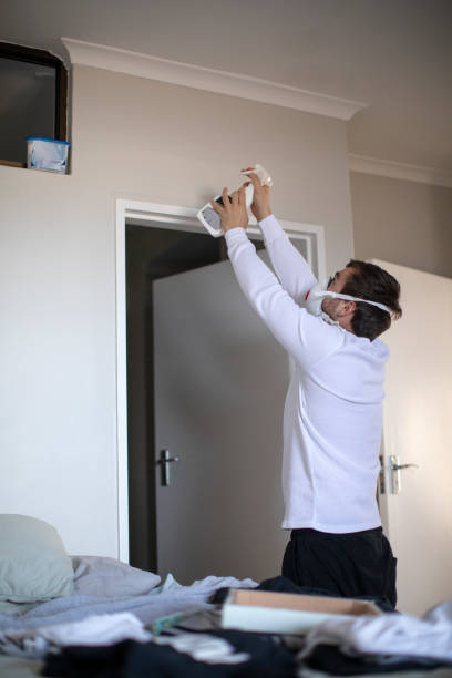 Best Black Mold Removal  in Frankfort, IL