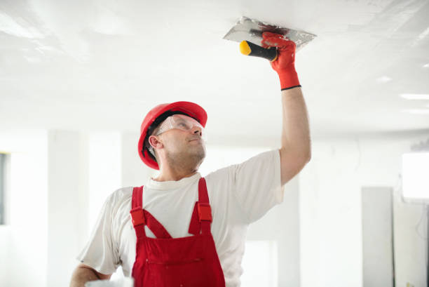 Best Residential Mold Inspection & Testing  in Frankfort, IL