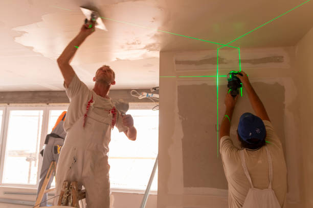 Best Asbestos and Lead Testing During Mold Inspection  in Frankfort, IL