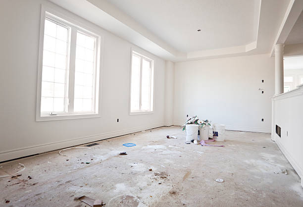 Best Basement Mold Removal  in Frankfort, IL