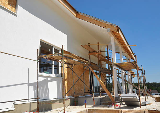 Best Mold Damage Restoration  in Frankfort, IL